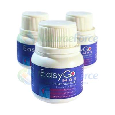 EasyGo — larawan ng produkto