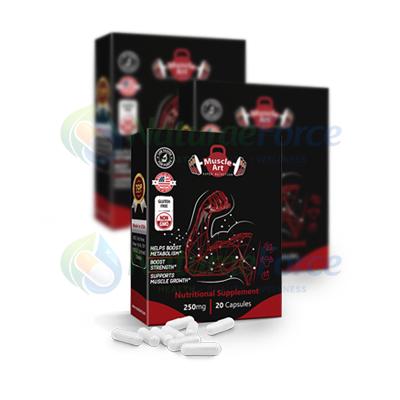 Muscle Art — larawan ng produkto